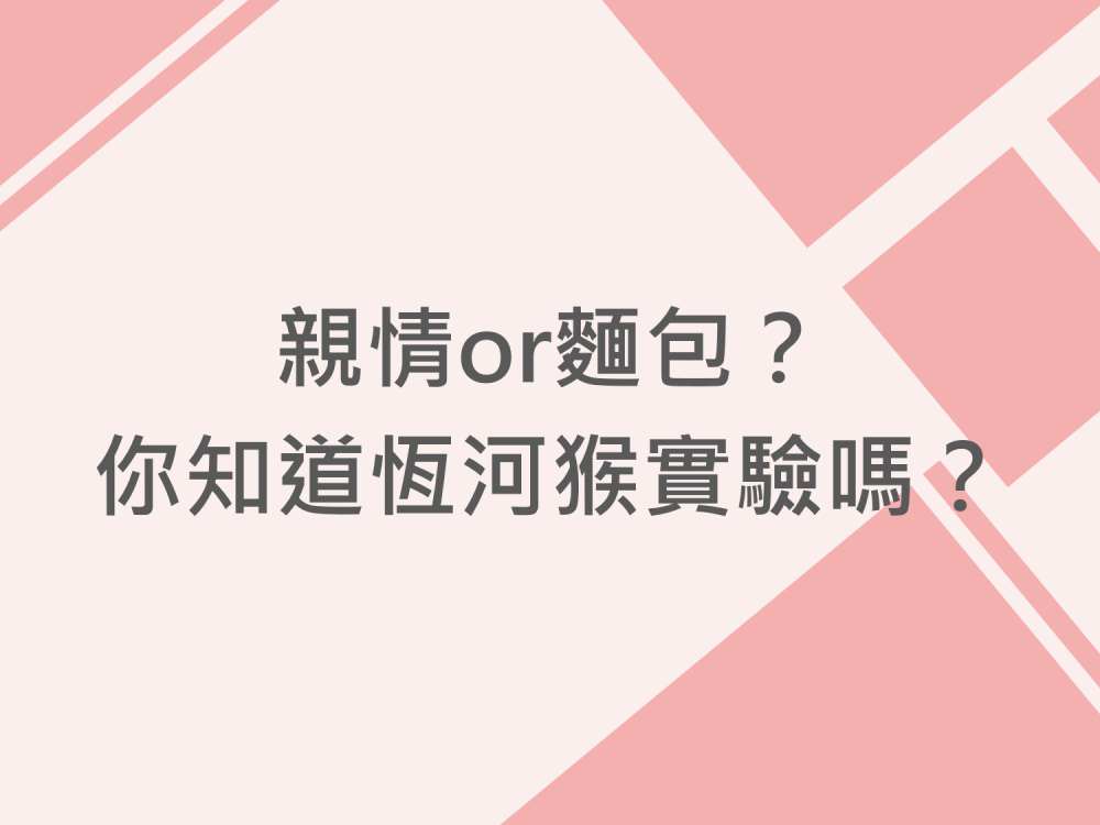內有親情or麵包？你知道恆河猴實驗嗎？字樣圖片
